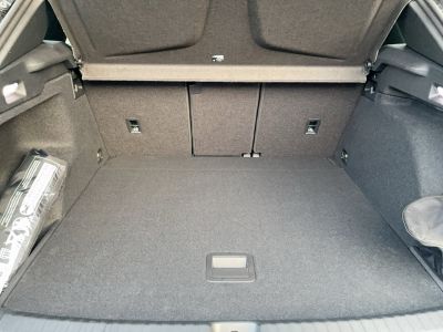 Cupra Terramar Gebrauchtwagen