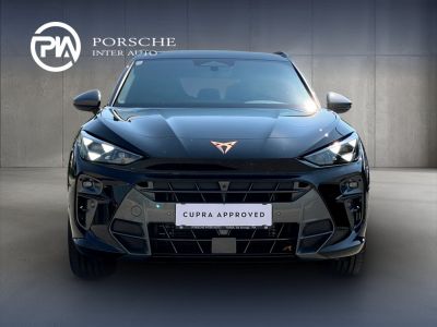 Cupra Terramar Gebrauchtwagen Cupra Terramar Gebrauchtwagen