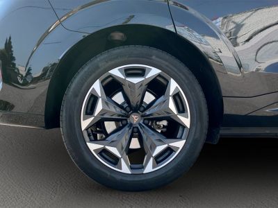Cupra Terramar Gebrauchtwagen Cupra Terramar Gebrauchtwagen