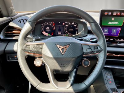 Cupra Terramar Gebrauchtwagen Cupra Terramar Gebrauchtwagen