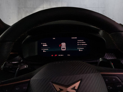 Cupra Terramar Gebrauchtwagen