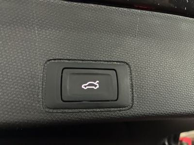 Cupra Terramar Gebrauchtwagen