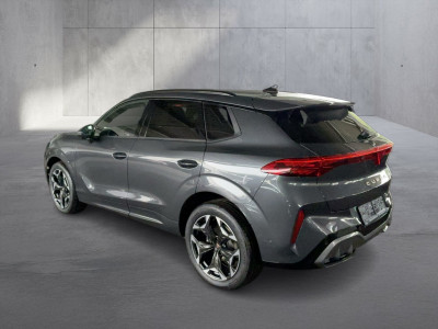 Cupra Terramar Gebrauchtwagen