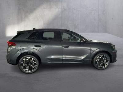 Cupra Terramar Gebrauchtwagen