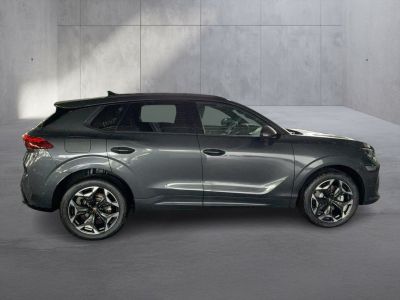 Cupra Terramar Gebrauchtwagen