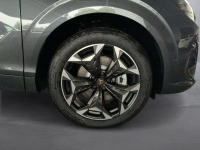 Cupra Terramar Gebrauchtwagen