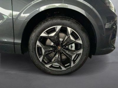Cupra Terramar Gebrauchtwagen