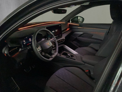 Cupra Terramar Gebrauchtwagen