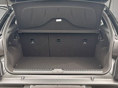 Cupra Raval Gebrauchtwagen Cupra Raval Gebrauchtwagen