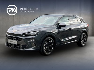Cupra Terramar Gebrauchtwagen