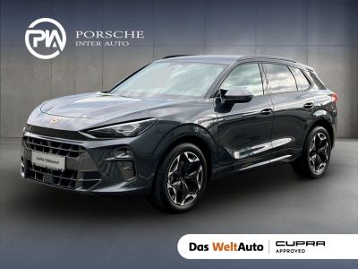 Cupra Terramar Gebrauchtwagen