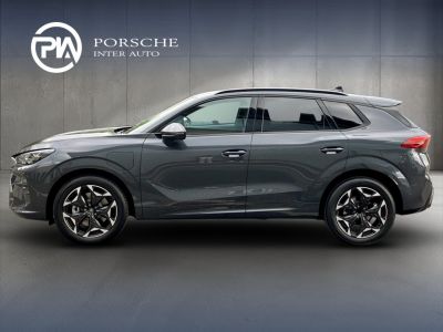 Cupra Terramar Gebrauchtwagen