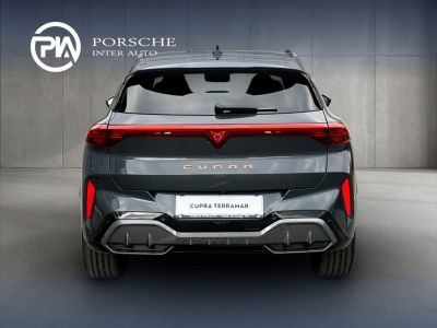Cupra Terramar Gebrauchtwagen