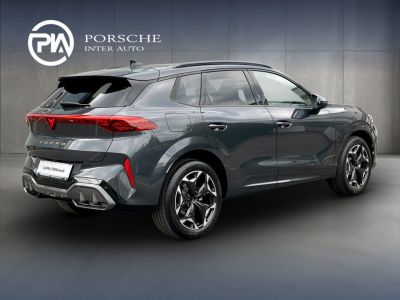 Cupra Terramar Gebrauchtwagen