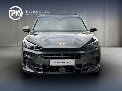 Cupra Terramar Gebrauchtwagen