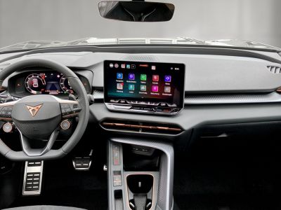 Cupra Terramar Gebrauchtwagen