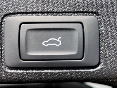 Cupra Terramar Gebrauchtwagen Cupra Terramar Gebrauchtwagen