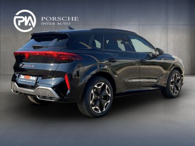 Cupra Terramar Gebrauchtwagen Cupra Terramar Gebrauchtwagen