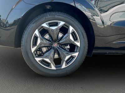 Cupra Terramar Gebrauchtwagen Cupra Terramar Gebrauchtwagen