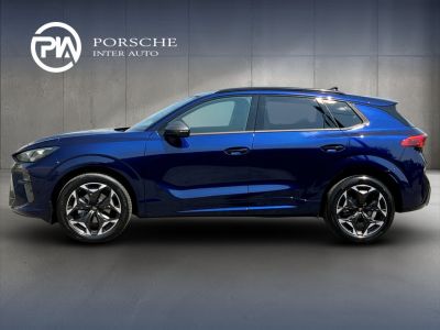 Cupra Terramar Gebrauchtwagen Cupra Terramar Gebrauchtwagen