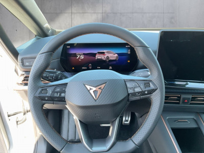 Cupra Born Gebrauchtwagen Cupra Born Gebrauchtwagen
