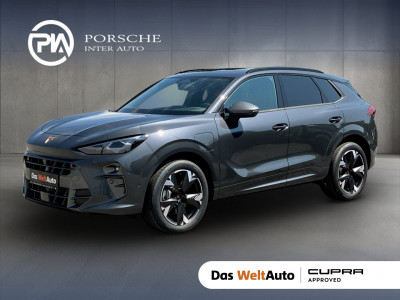 Cupra Terramar Gebrauchtwagen Cupra Terramar Gebrauchtwagen