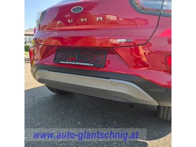 Ford Puma Gebrauchtwagen