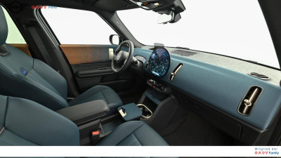 MINI Countryman Gebrauchtwagen