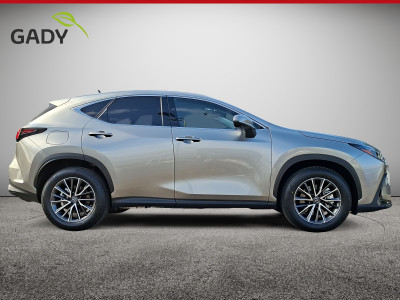 Lexus NX Gebrauchtwagen