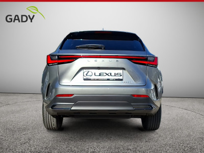 Lexus NX Gebrauchtwagen