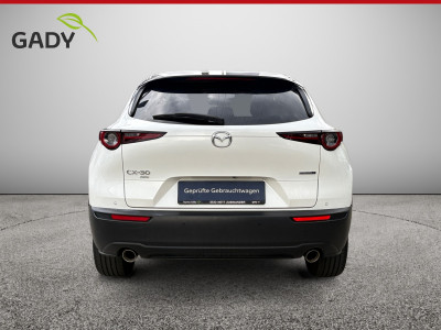 Mazda CX-30 Gebrauchtwagen Mazda CX-30 Gebrauchtwagen