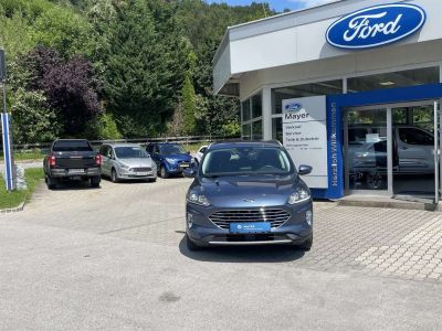 Ford Kuga Gebrauchtwagen