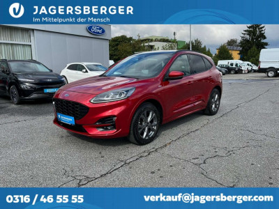 Ford Kuga Gebrauchtwagen