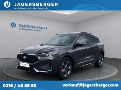 Ford Kuga Vorführwagen