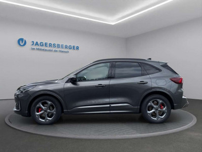 Ford Kuga Vorführwagen