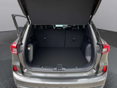 Ford Kuga Vorführwagen