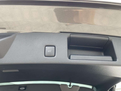 Ford Kuga Vorführwagen