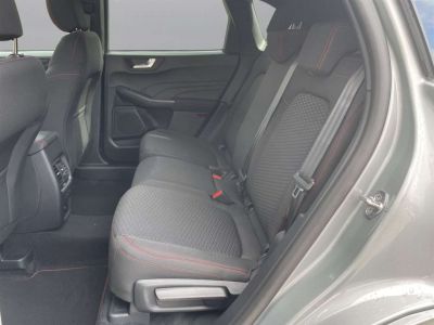 Ford Kuga Vorführwagen