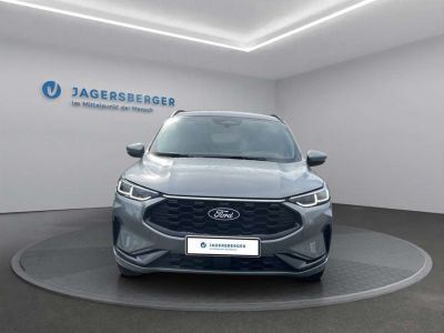 Ford Kuga Vorführwagen