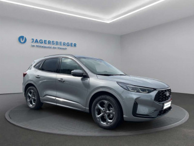 Ford Kuga Vorführwagen