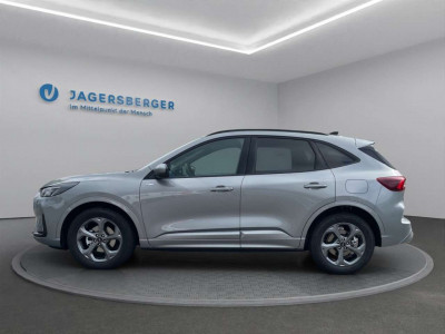 Ford Kuga Vorführwagen