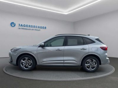 Ford Kuga Vorführwagen