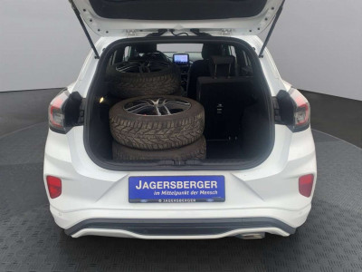 Ford Puma Gebrauchtwagen