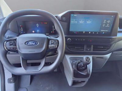 Ford Transit Custom Gebrauchtwagen