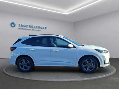 Ford Kuga Neuwagen