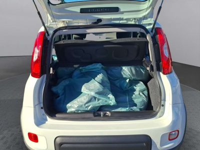 Fiat Panda Gebrauchtwagen Fiat Panda Gebrauchtwagen