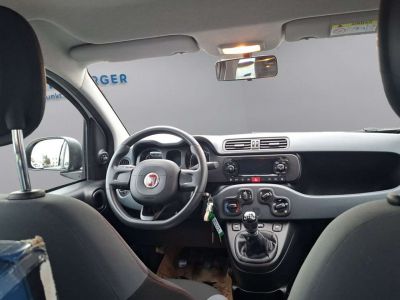 Fiat Panda Gebrauchtwagen
