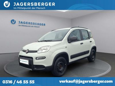 Fiat Panda Gebrauchtwagen
