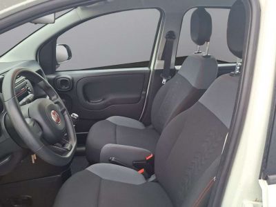 Fiat Panda Gebrauchtwagen