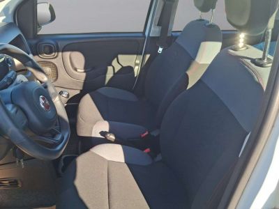 Fiat Panda Gebrauchtwagen Fiat Panda Gebrauchtwagen